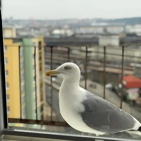 Warszawska 15 Apartament Appartamento